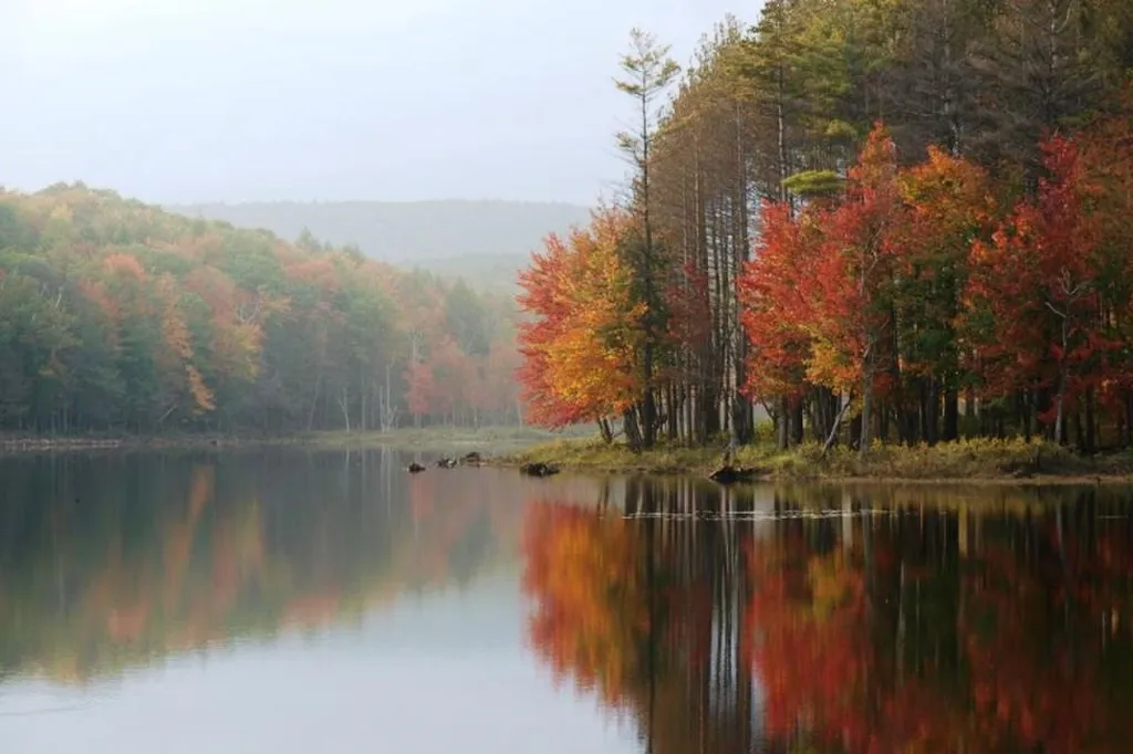 Lot 9-33-1 Page Hill Road New Ipswich NH 03071
