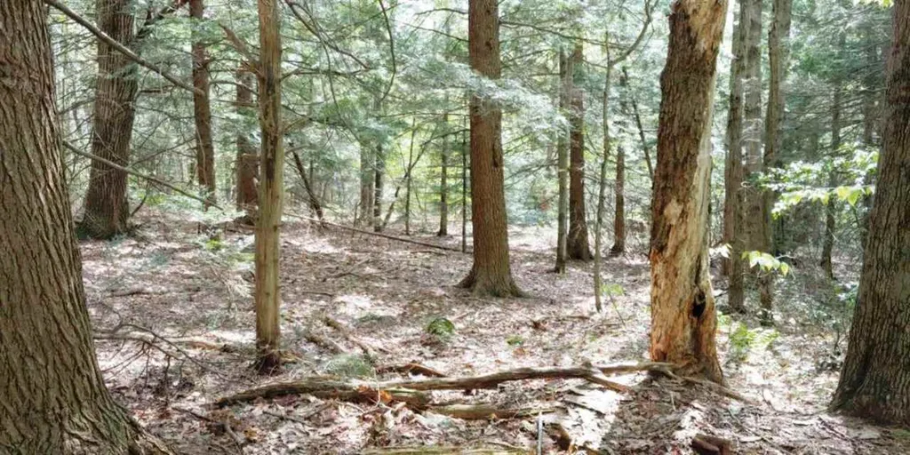 Lot 9-33-1 Page Hill Road New Ipswich NH 03071