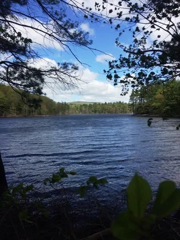 Lot 9-33-1 Page Hill Road New Ipswich NH 03071