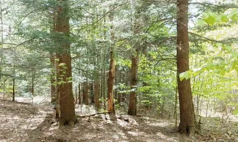 Lot 9-33-1 Page Hill Road New Ipswich NH 03071