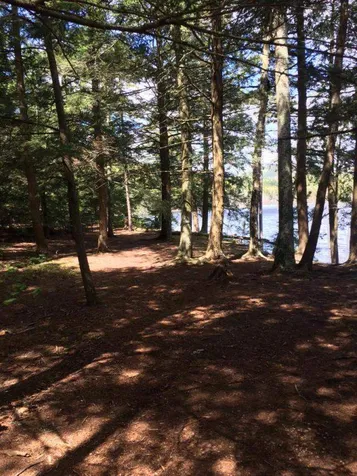 Lot 9-33-1 Page Hill Road New Ipswich NH 03071
