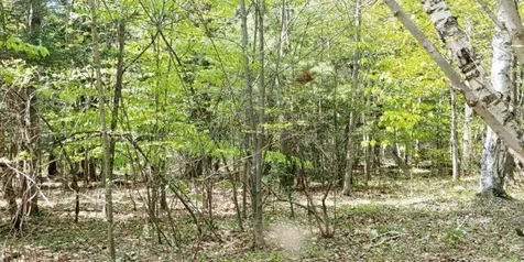 Lot 9-33-1 Page Hill Road New Ipswich NH 03071