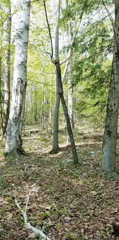 Lot 9-33-1 Page Hill Road New Ipswich NH 03071