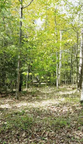 Lot 9-33-1 Page Hill Road New Ipswich NH 03071
