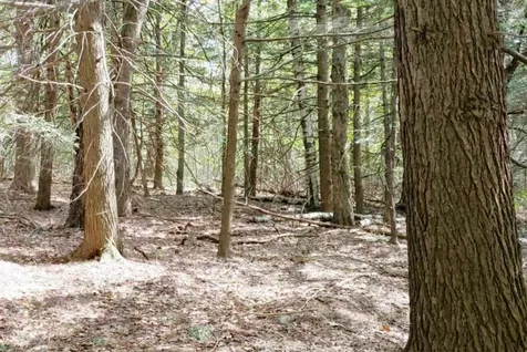 Lot 9-33-1 Page Hill Road New Ipswich NH 03071