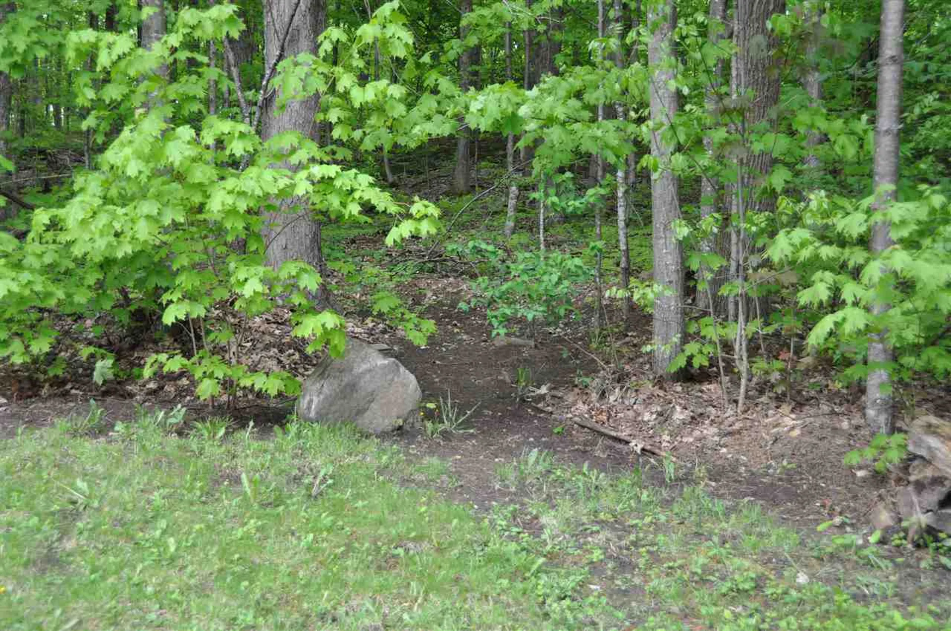 355 Woodland Park Middlebury VT 05753