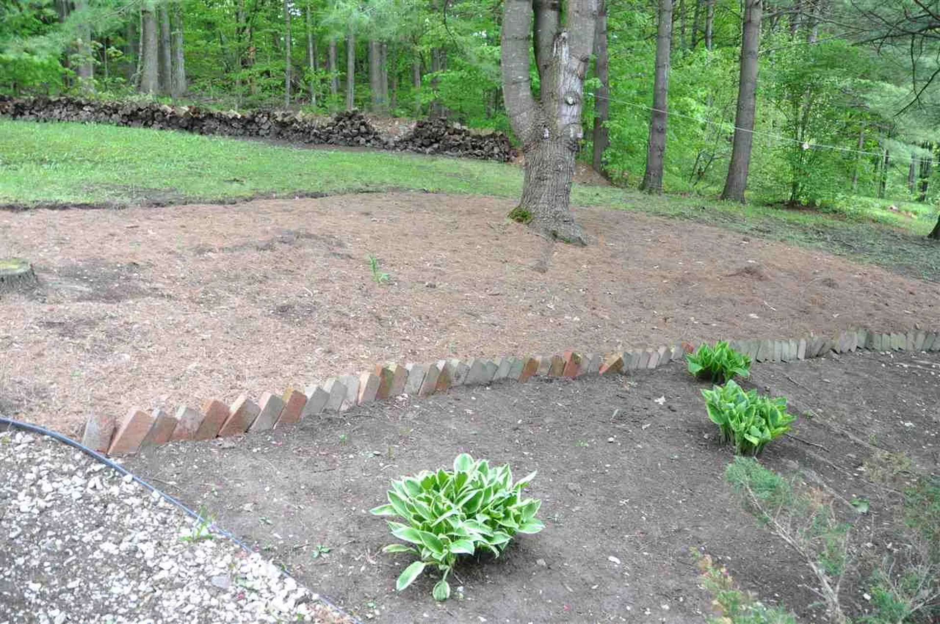 355 Woodland Park Middlebury VT 05753