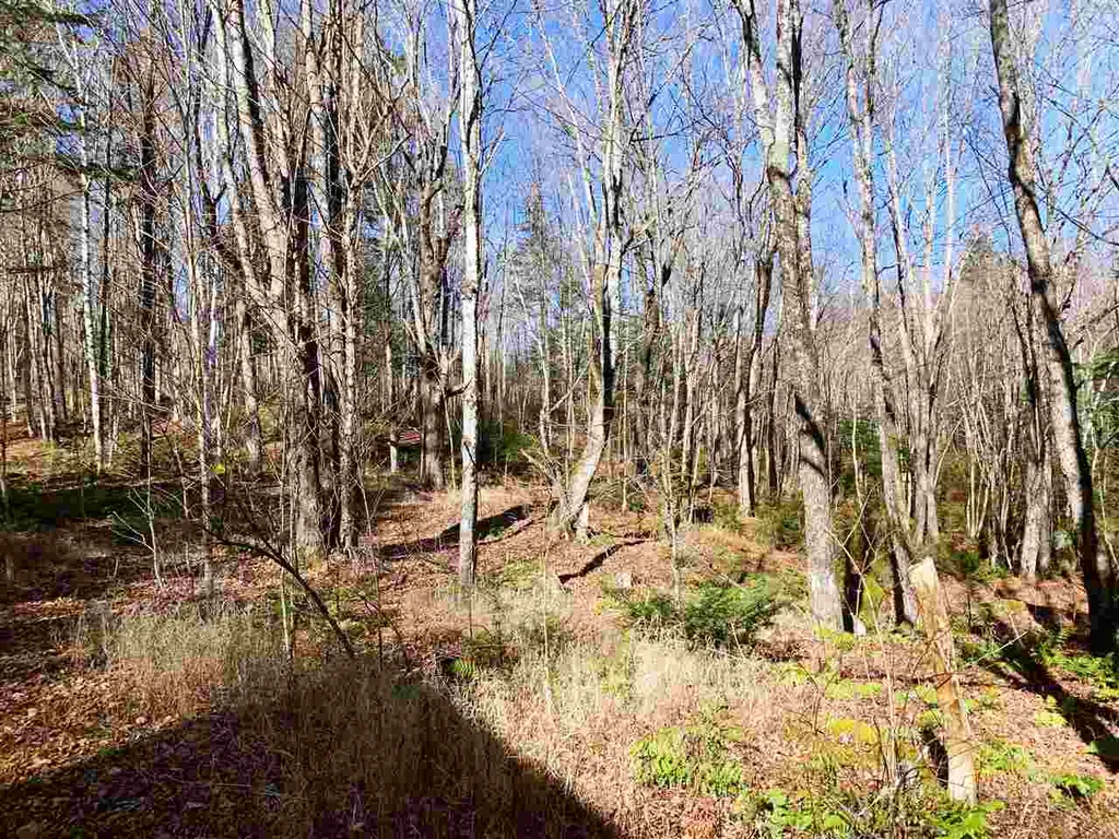 647 Fitch Brook Common Granby VT 05840