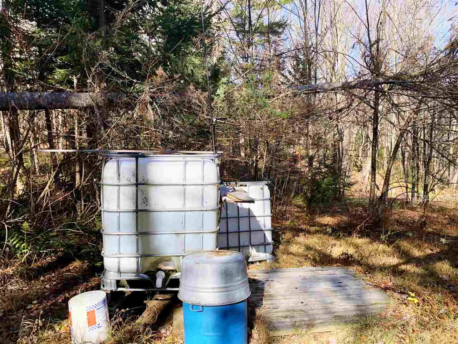 647 Fitch Brook Common Granby VT 05840