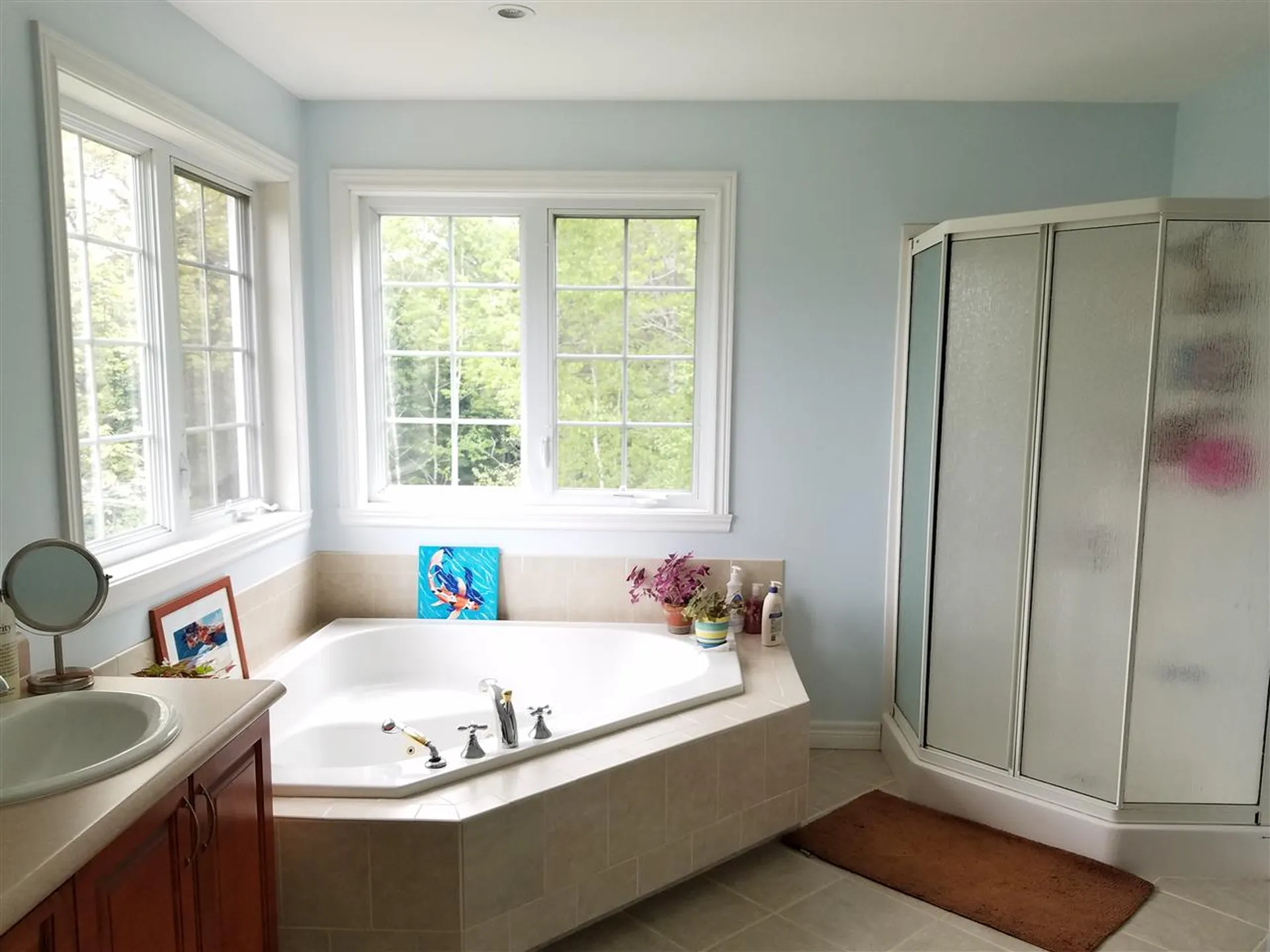 42 Pheasant Lane Canaan NH 03741