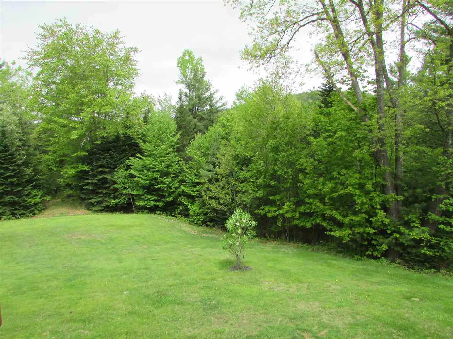 42 Pheasant Lane Canaan NH 03741