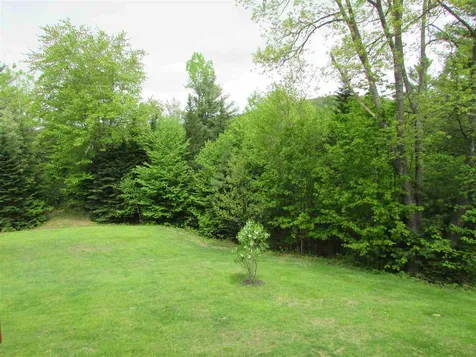 42 Pheasant Lane Canaan NH 03741