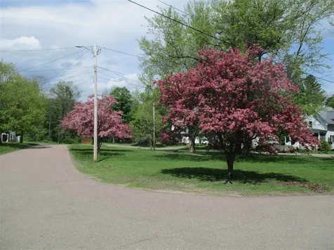 2 Chestnut Street Randolph VT 05060
