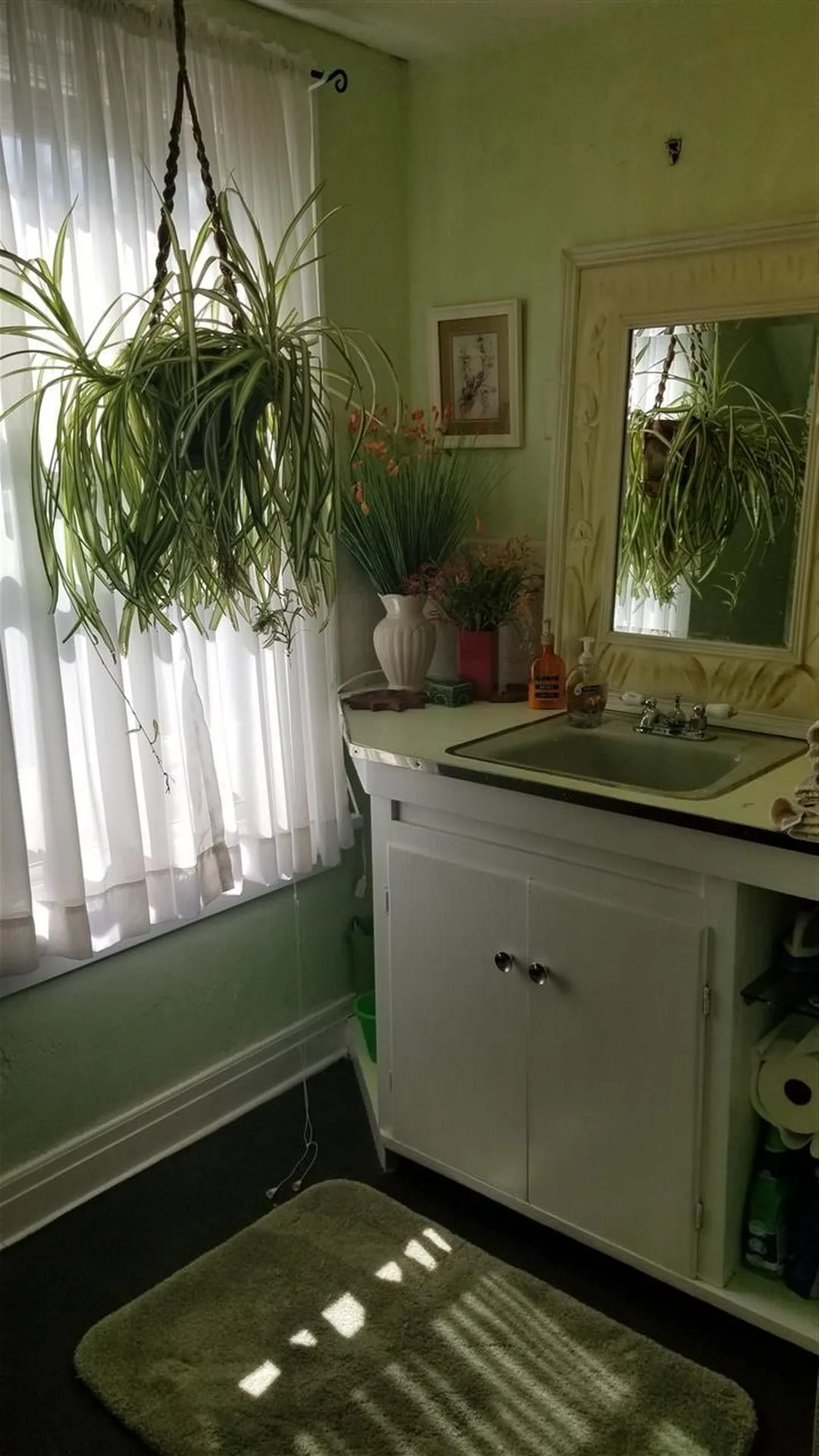 48 Pleasant Street Essex VT 05452