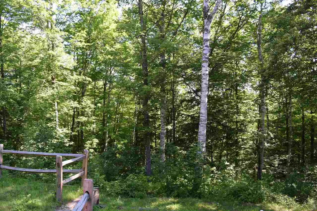 76 Spring Hill Road Campton NH 03223