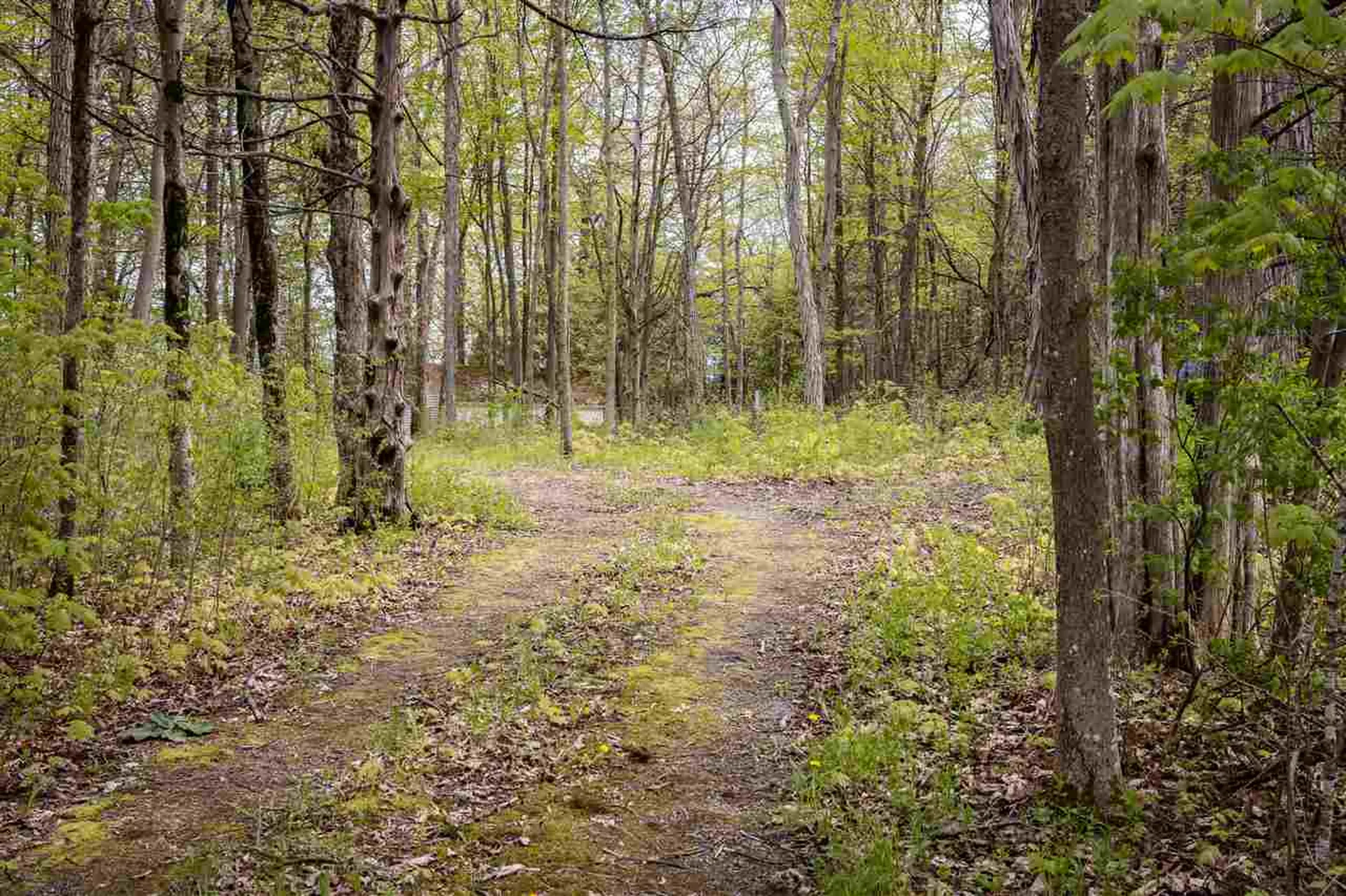 715 Cedar Beach Road Charlotte VT 05445