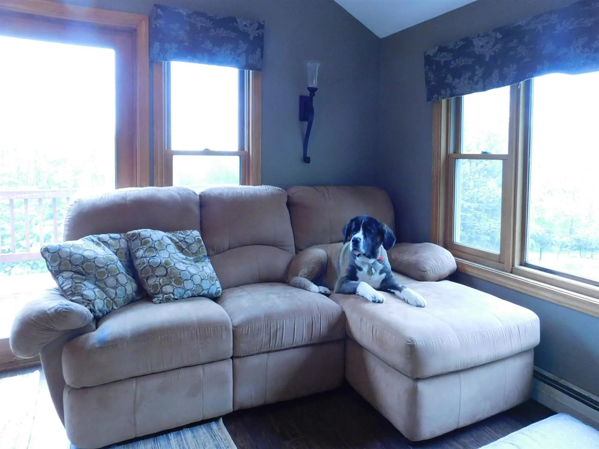 214 Hillcrest Avenue Duxbury VT 05660
