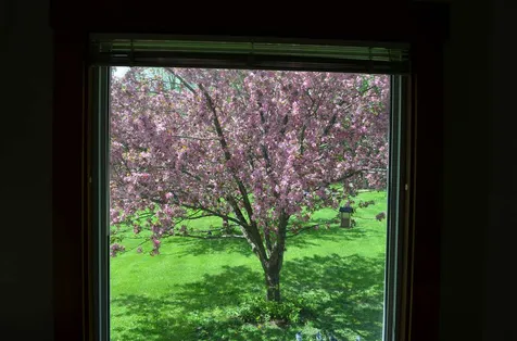 218 High Street Cavendish VT 05142