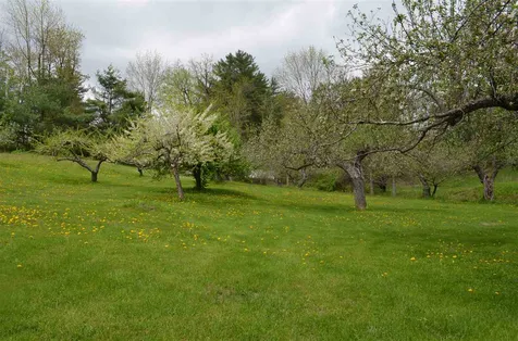 218 High Street Cavendish VT 05142