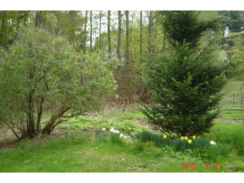 7 Fitch Court Marlborough NH 03455