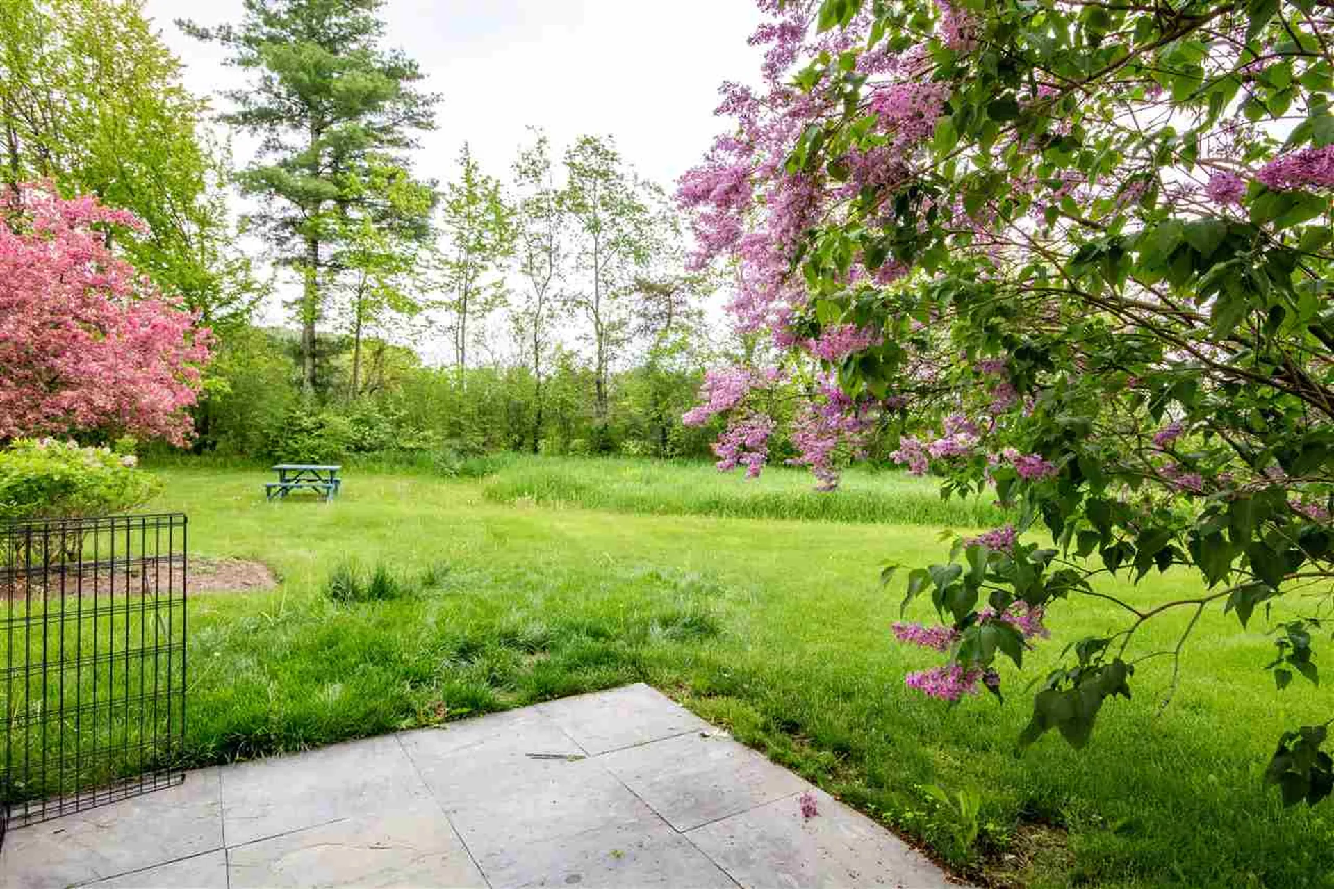 4452 Mount Philo Road Charlotte VT 05445