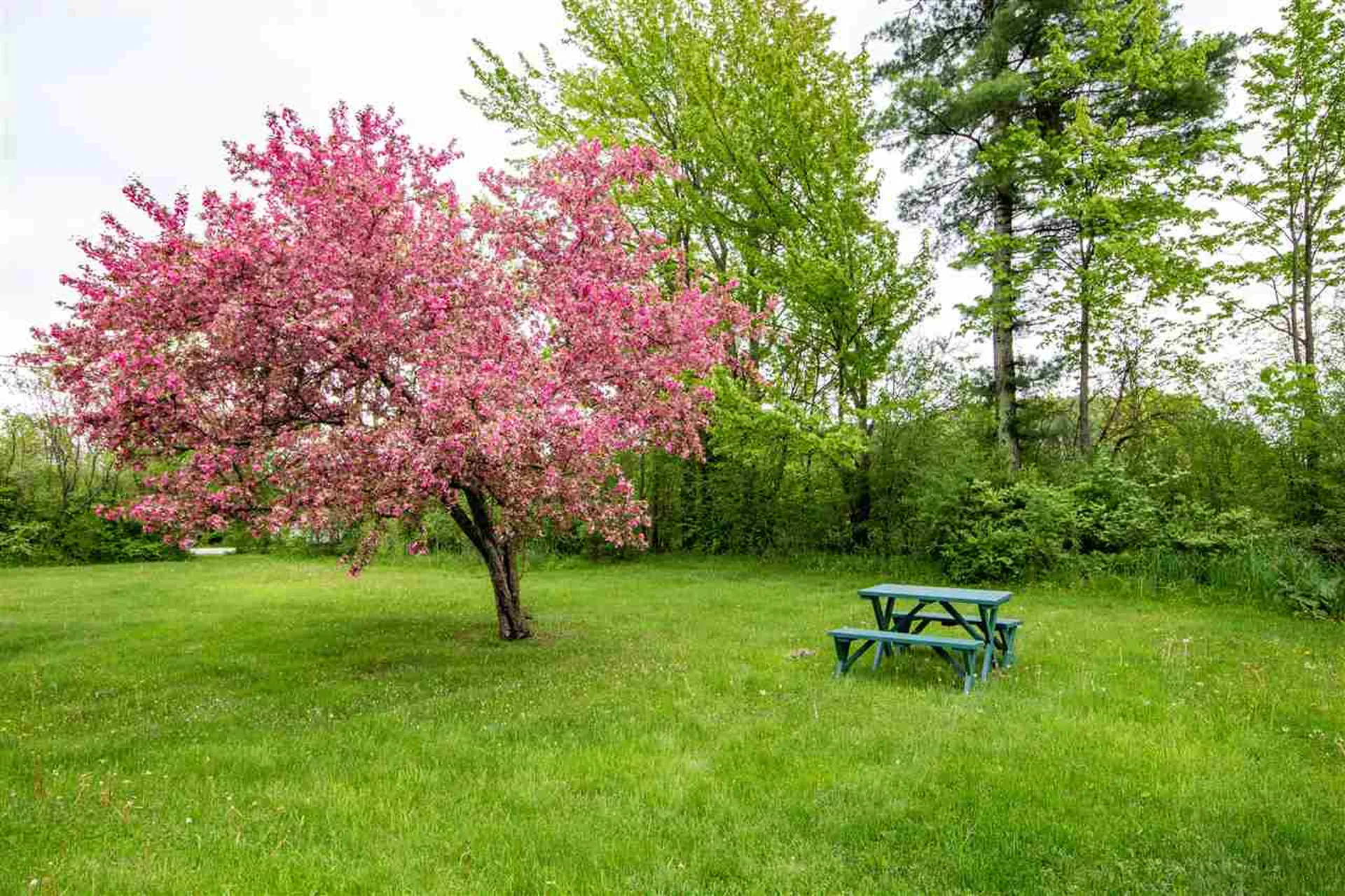 4452 Mount Philo Road Charlotte VT 05445