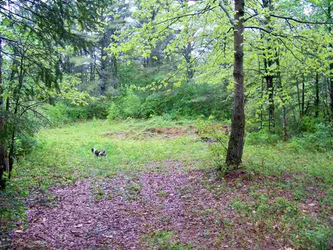 22 Sugarbush Lane Grafton NH 03240