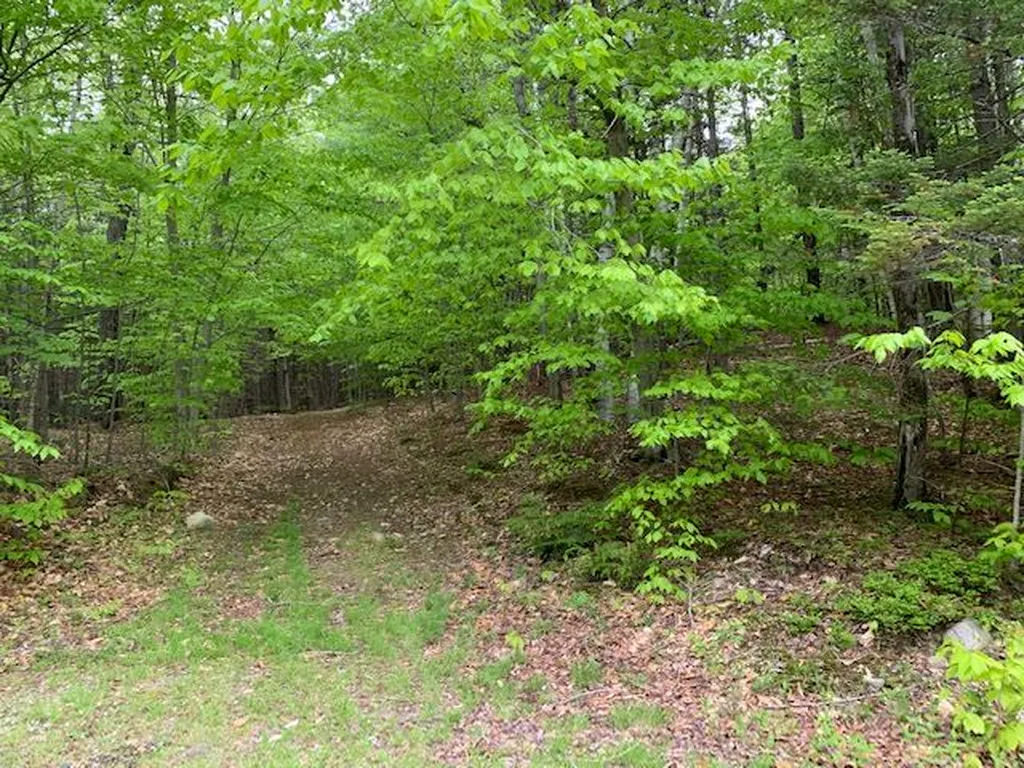 140 Winthrop Drive Shelburne NH 03581