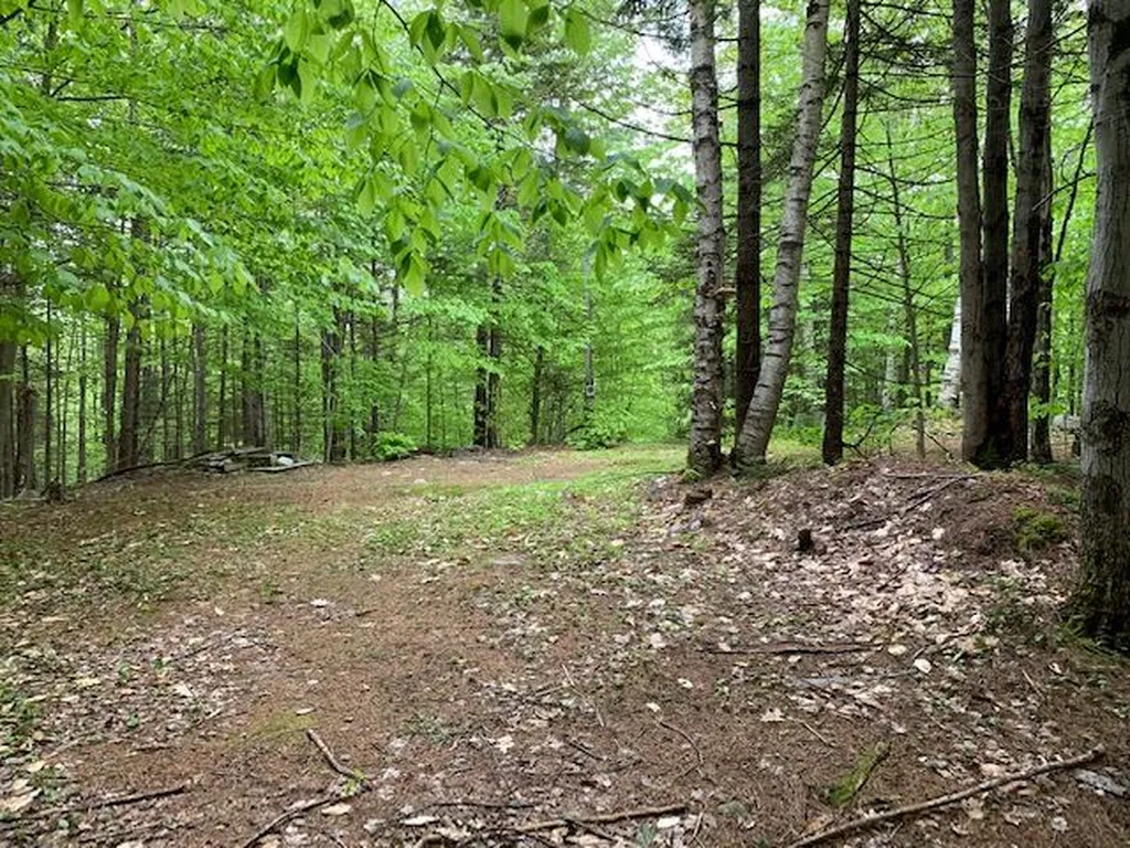 140 Winthrop Drive Shelburne NH 03581