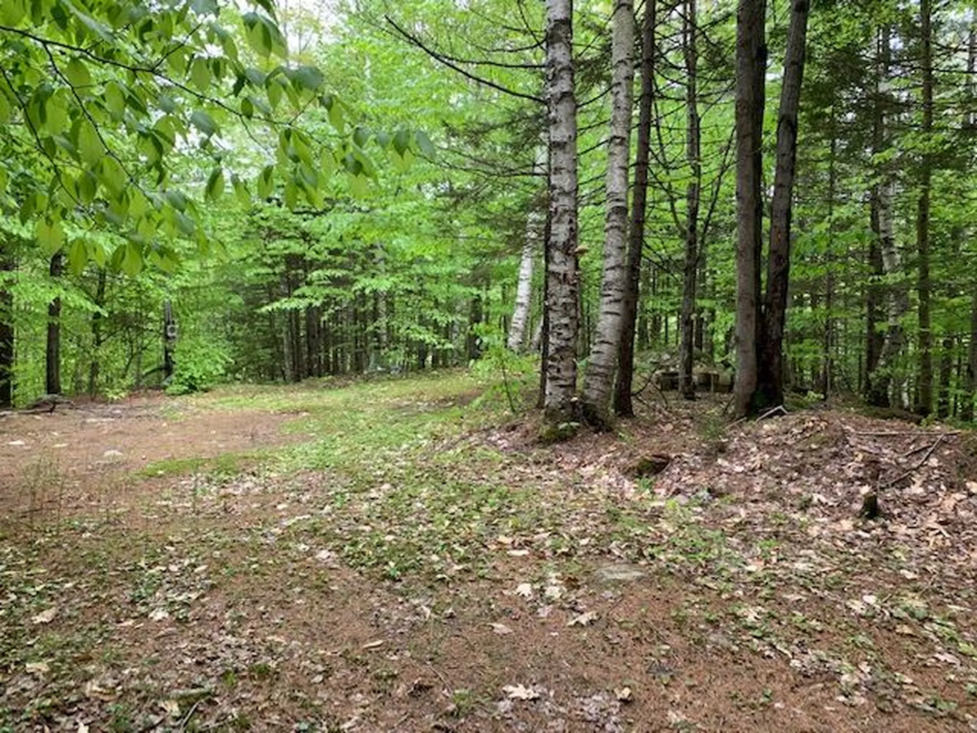 140 Winthrop Drive Shelburne NH 03581