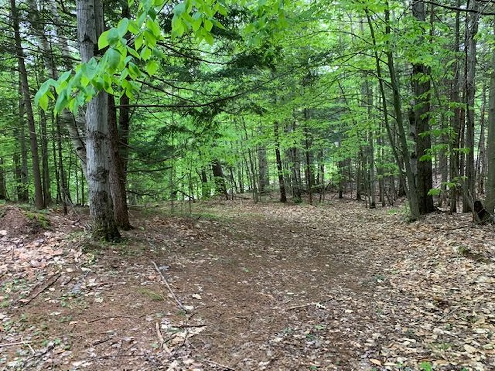 140 Winthrop Drive Shelburne NH 03581