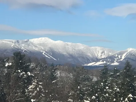1444 Upper Hollow Road Stowe VT 05672