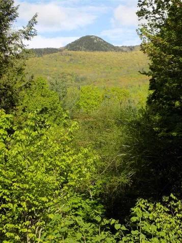 1444 Upper Hollow Road Stowe VT 05672
