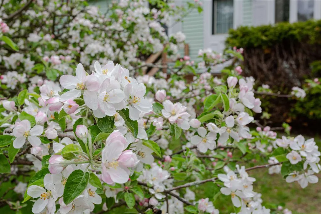 318 Bissette Drive Colchester VT 05446