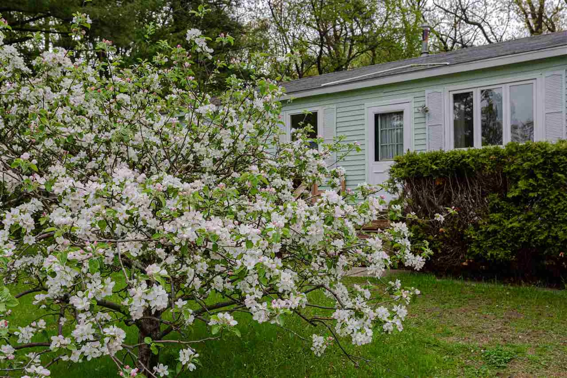 318 Bissette Drive Colchester VT 05446