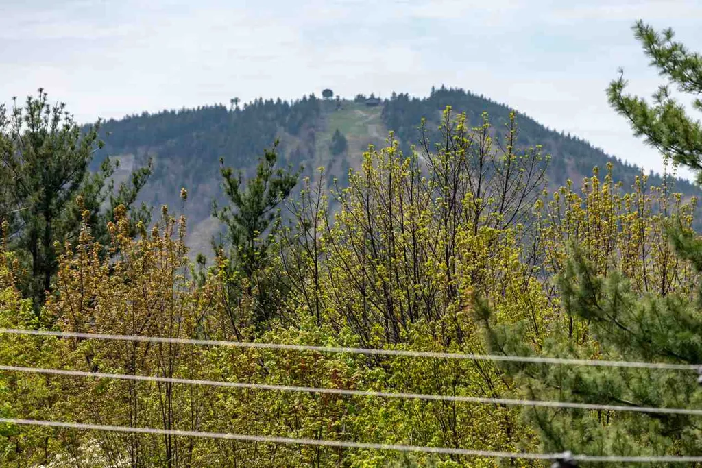 147 Mountain Drive Gilford NH 03249
