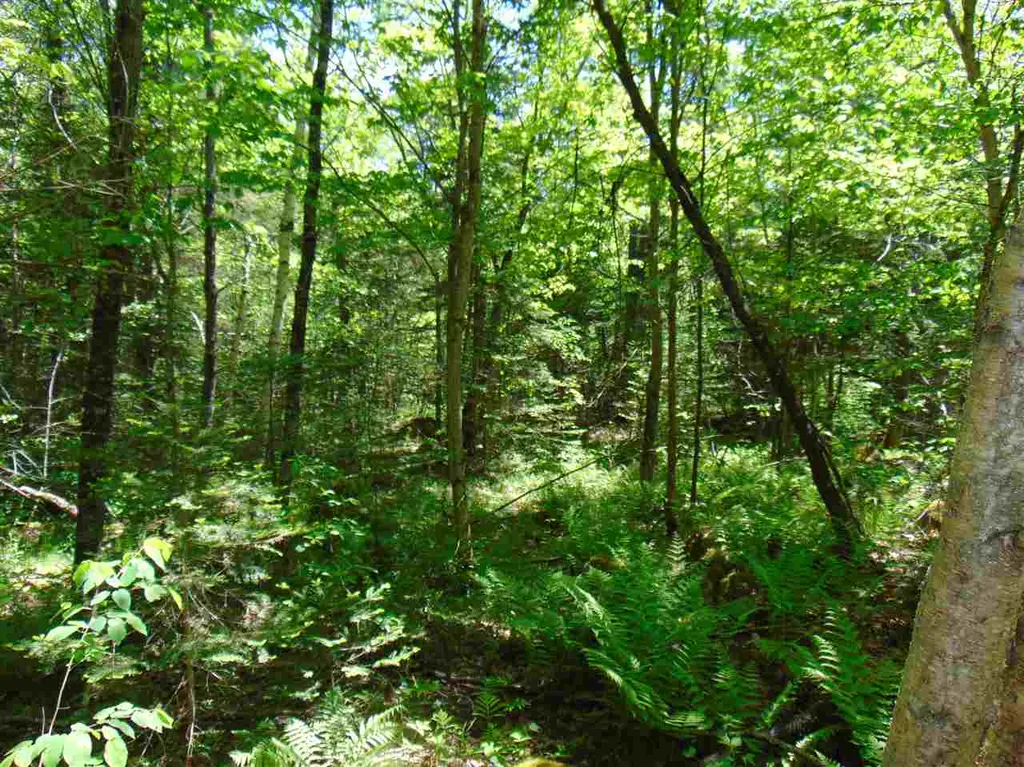 Lot 1 U.s. Route 2 Concord VT 05824-0317