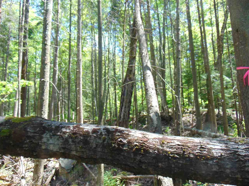 Lot 1 U.s. Route 2 Concord VT 05824-0317