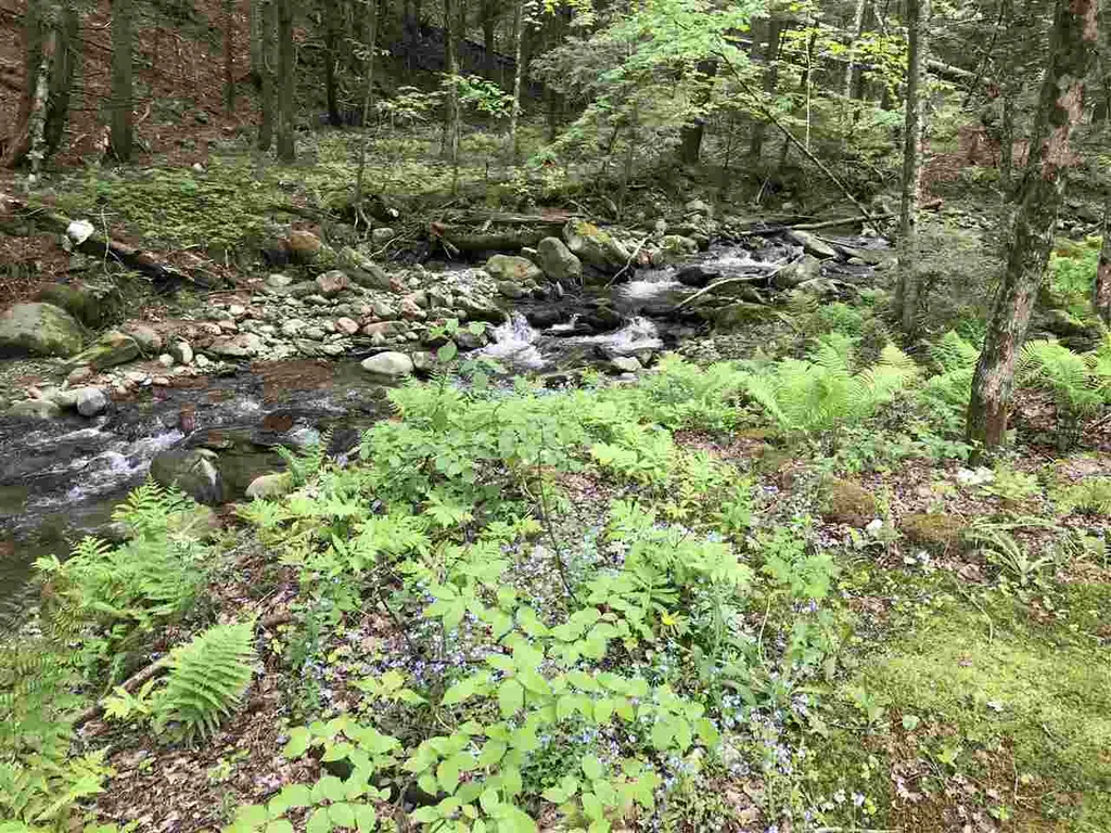 1069 Mill Brook Road Fayston VT 05673