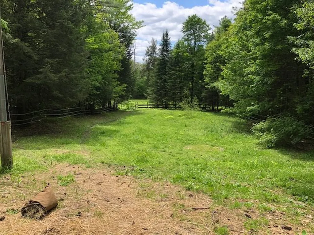 98 Effingwood Farm Road Effingham NH 03882-8469