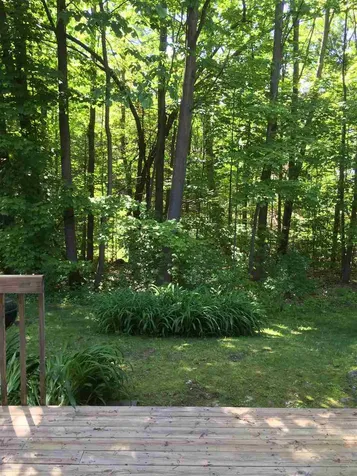 A-6 Stonehedge Drive South Burlington VT 05403