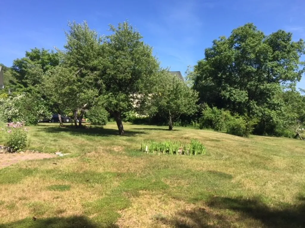 13 Riddle Hill Road Grafton NH 03240