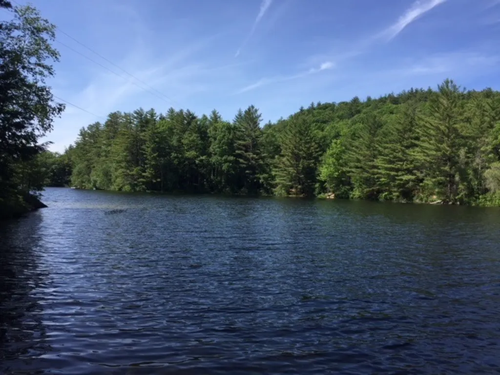 13 Riddle Hill Road Grafton NH 03240