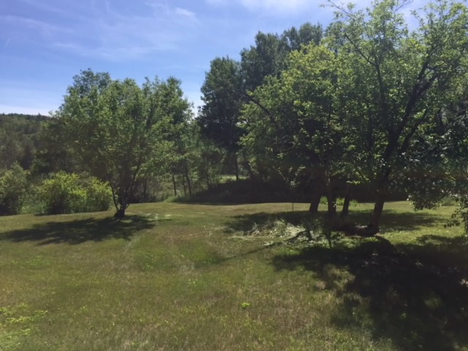13 Riddle Hill Road Grafton NH 03240