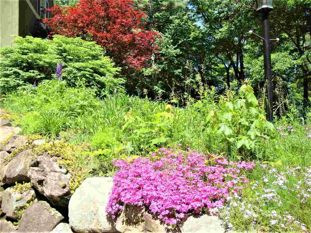 509 Raccoon Hill Road Salisbury NH 03268