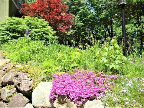 509 Raccoon Hill Road Salisbury NH 03268