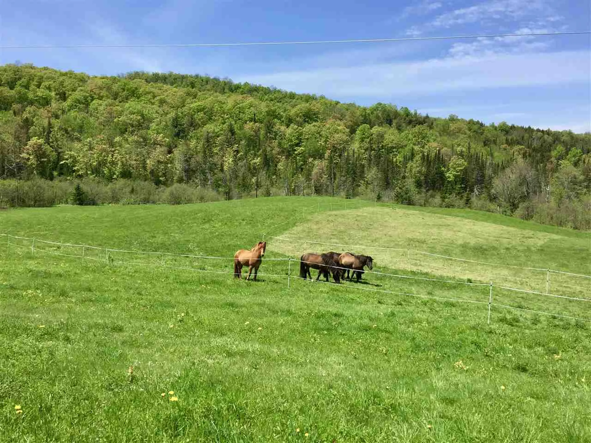 202 Robinson Road Northfield VT 05663