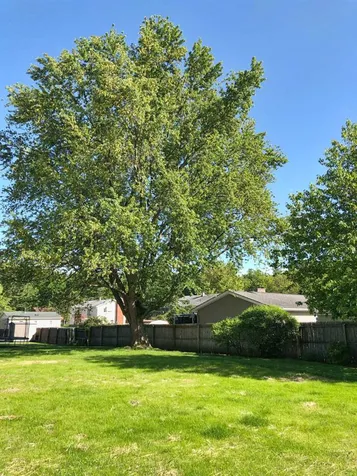236 Belwood Avenue Colchester VT 05446