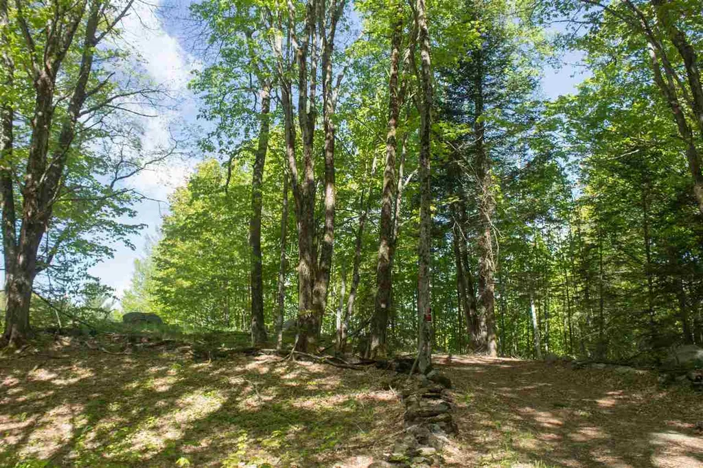 714 Batchelder Road Washington VT 05675