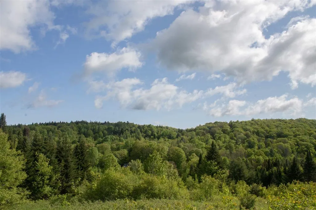 714 Batchelder Road Washington VT 05675
